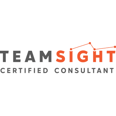 Team Sight logo